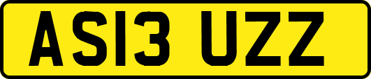 AS13UZZ