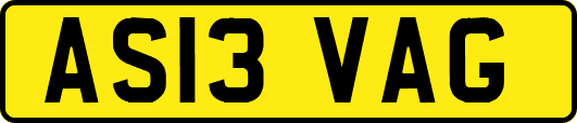 AS13VAG