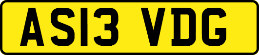 AS13VDG