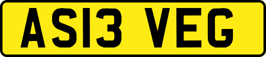 AS13VEG