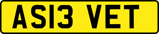 AS13VET