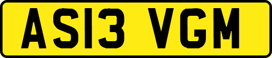 AS13VGM
