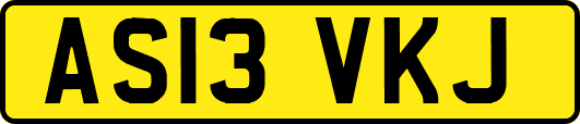 AS13VKJ