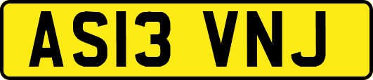 AS13VNJ