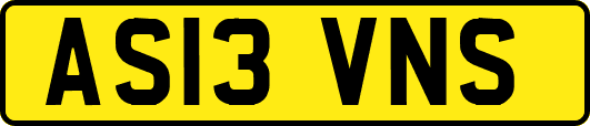 AS13VNS