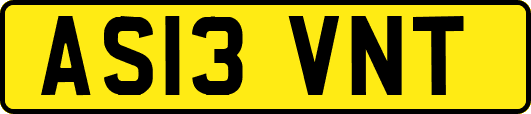 AS13VNT
