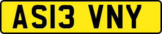 AS13VNY