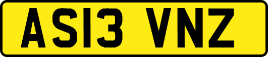 AS13VNZ