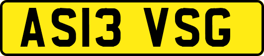 AS13VSG