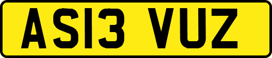 AS13VUZ