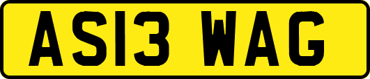 AS13WAG