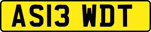 AS13WDT
