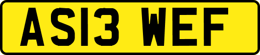 AS13WEF