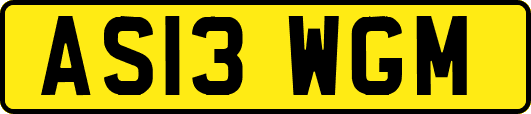 AS13WGM