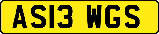 AS13WGS