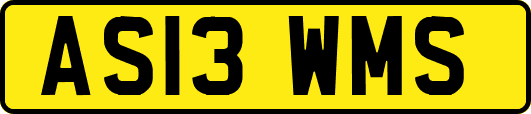 AS13WMS
