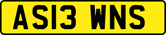AS13WNS