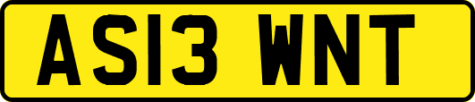 AS13WNT