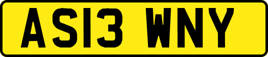 AS13WNY