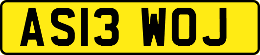 AS13WOJ