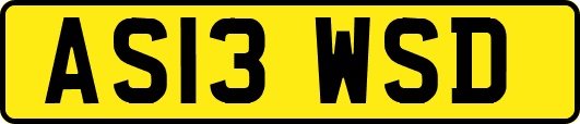 AS13WSD