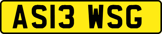 AS13WSG