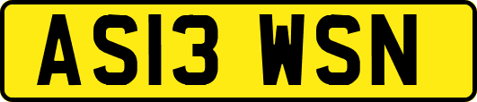 AS13WSN