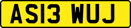 AS13WUJ