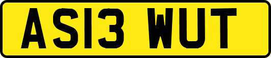 AS13WUT