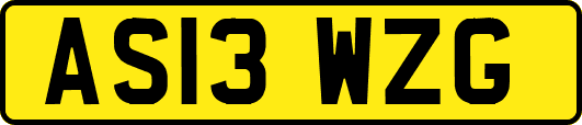 AS13WZG