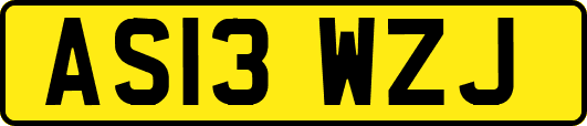 AS13WZJ