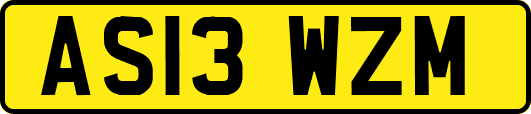 AS13WZM