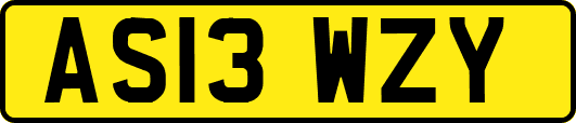 AS13WZY
