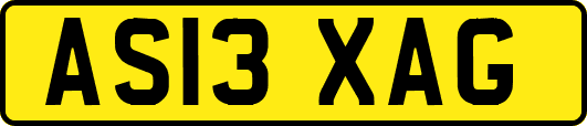AS13XAG