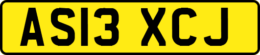 AS13XCJ
