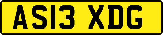AS13XDG