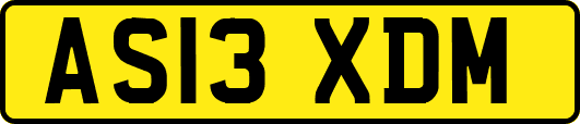 AS13XDM