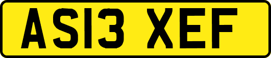AS13XEF