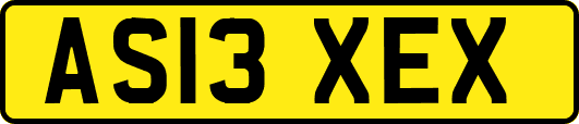 AS13XEX