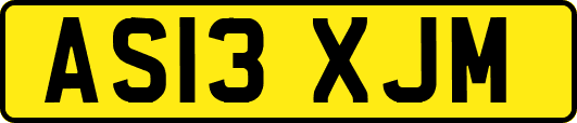 AS13XJM