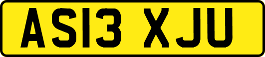 AS13XJU