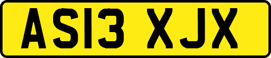 AS13XJX