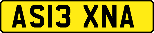 AS13XNA