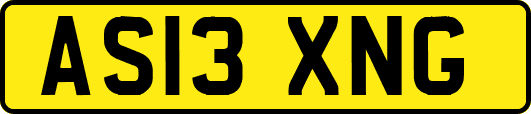 AS13XNG