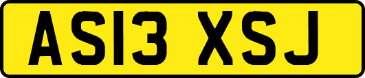 AS13XSJ