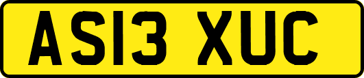 AS13XUC