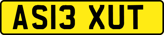 AS13XUT