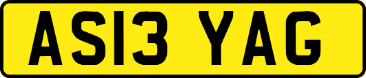 AS13YAG