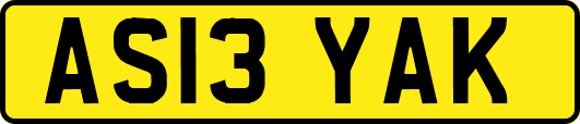 AS13YAK