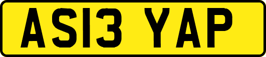 AS13YAP